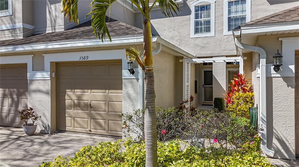 3589 Country Pointe Place Palm Harbor, FL 34684 - Photo 2 of 31 a view of a house with potted plants