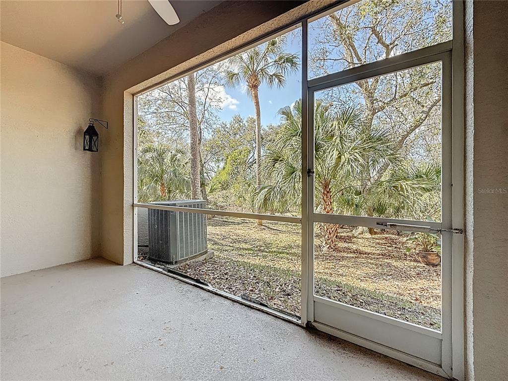 3589 Country Pointe Place Palm Harbor, FL 34684 - Photo 25 of 31 a view of a room with window
