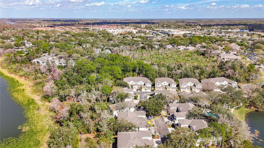 3589 Country Pointe Place Palm Harbor, FL 34684 - Photo 30 of 31 a view of a city