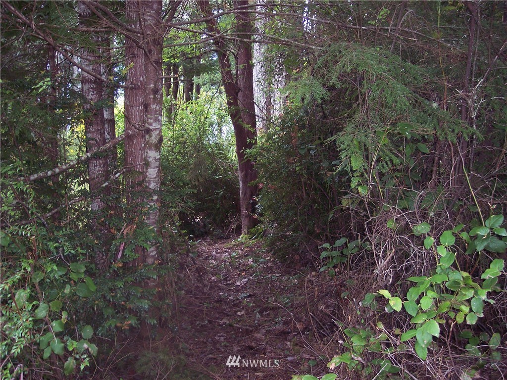 19832 Northwest Stavis Bay Road Seabeck, WA 98380 - Photo 2 of 8 Gallery Image 2