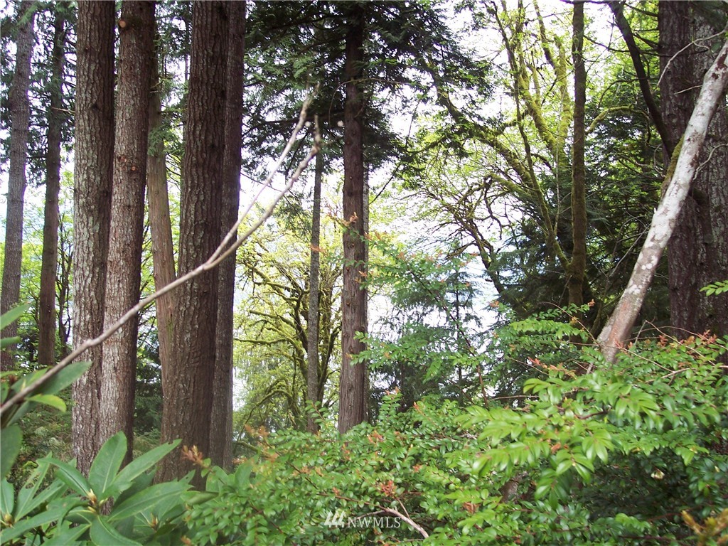 19832 Northwest Stavis Bay Road Seabeck, WA 98380 - Photo 5 of 8 Gallery Image 5