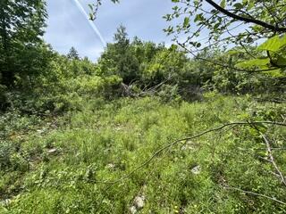 13 B Richardson Road Orrington, ME 04474 - Photo 6 of 10 IMG_0796