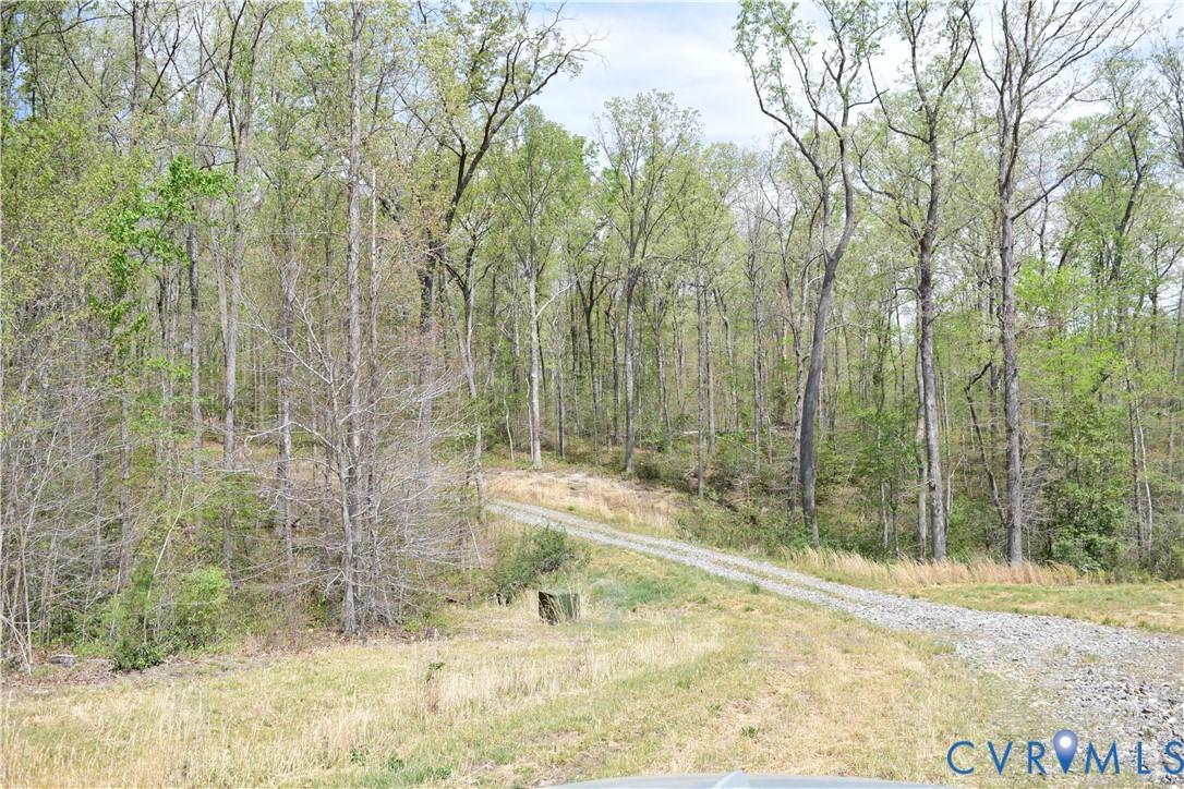 1075 Freshwater Creek Road Mineral, VA 23117 - Photo 9 of 16