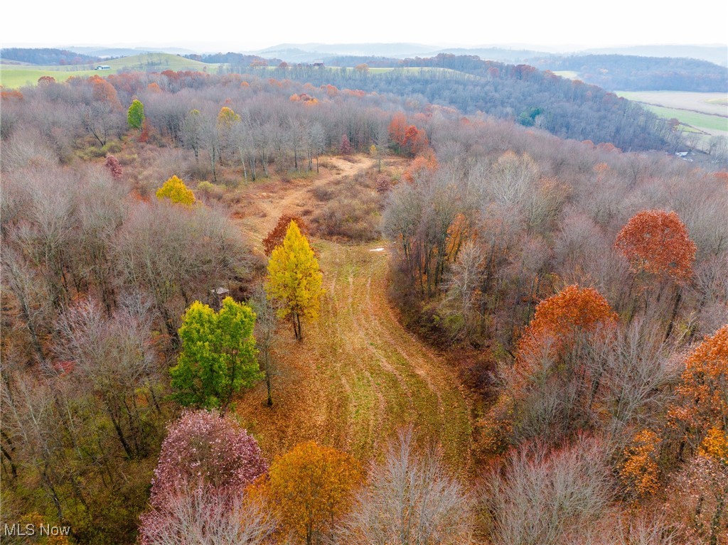 1239 Township Road Dresden, OH 43821 - Photo 45 of 50 Drone / aerial view of a forest