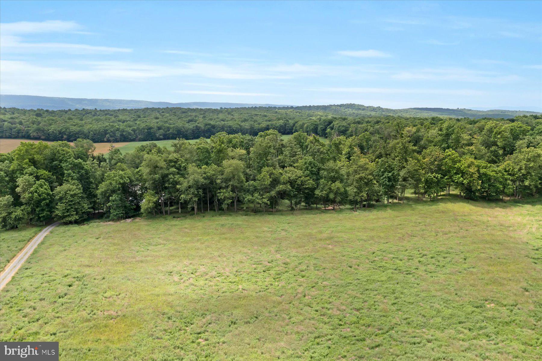 786 Dry Hollow Road Warriors Mark, PA 16877 - Photo 5 of 16