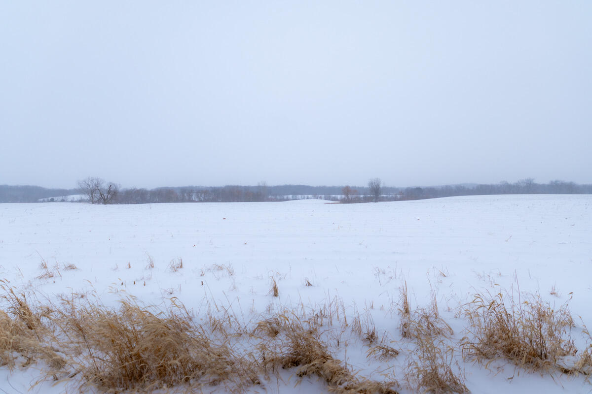 17903 English Road Manchester, MI 48158 - Photo 13 of 17 1S1A0226