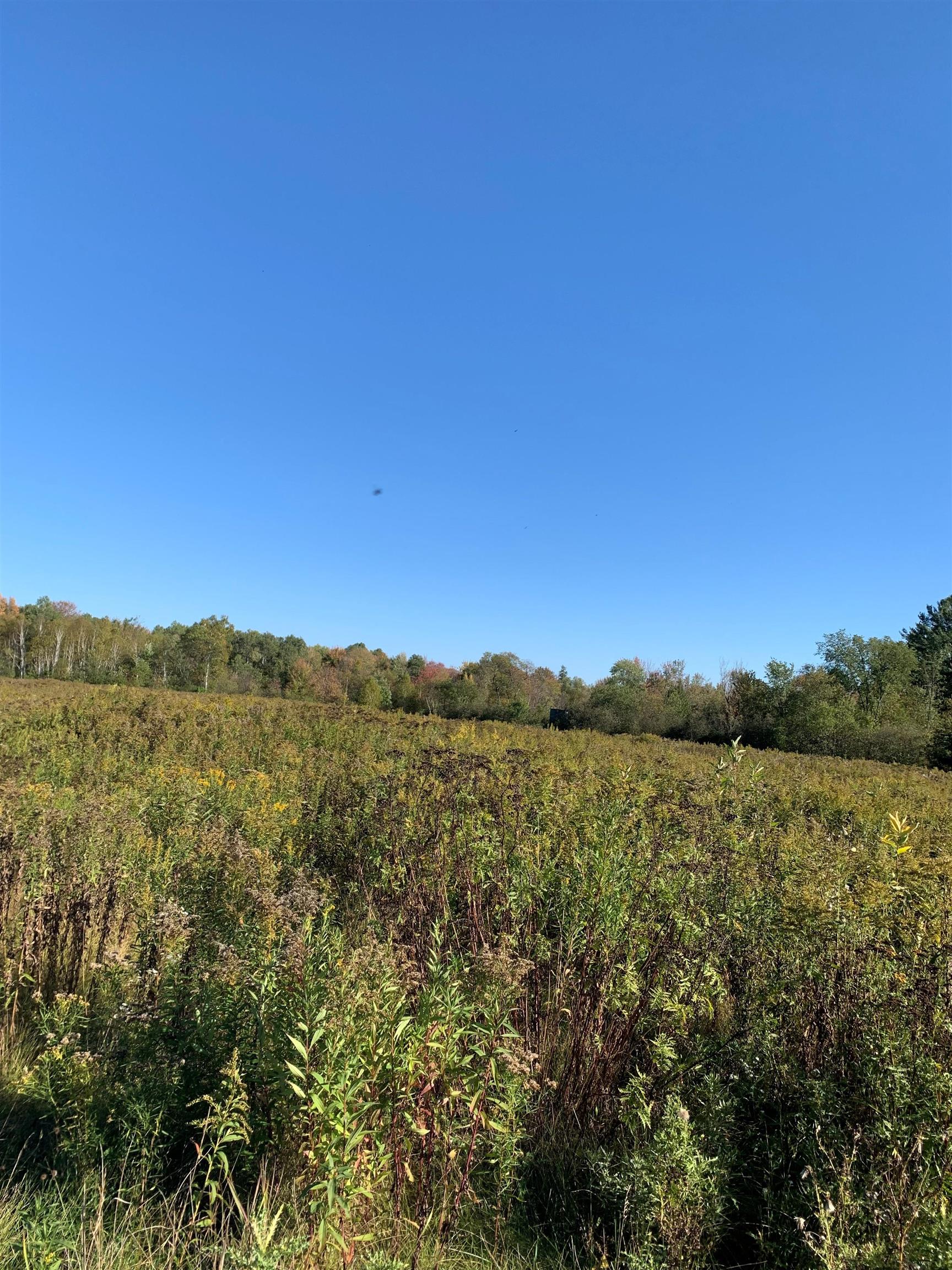 48.6-acres County Road West Merrill, WI 54452 - Photo 11 of 17