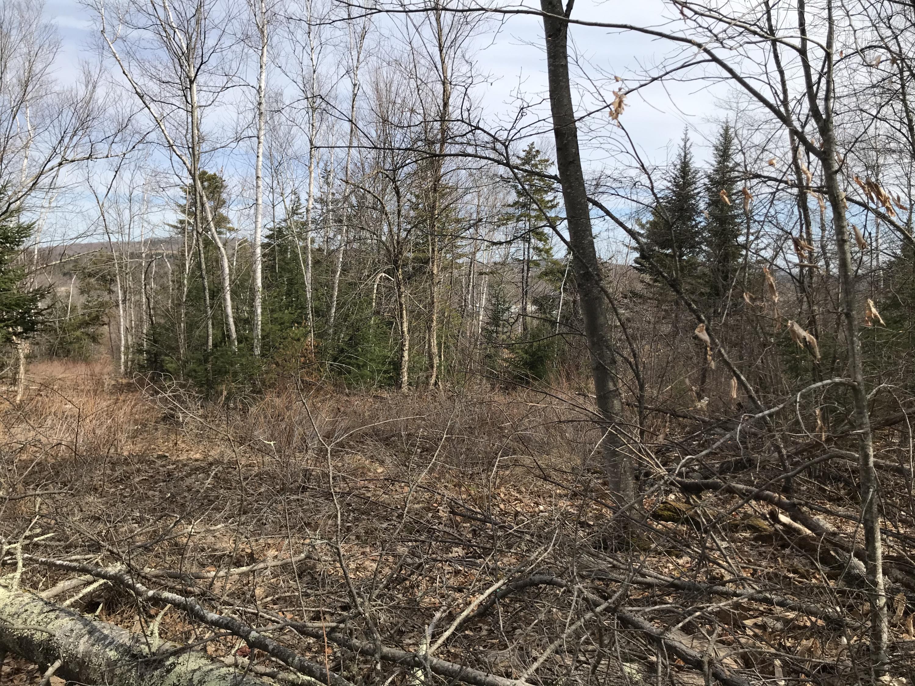 0 Reynolds Road Brooks, ME 04921 - Photo 2 of 14 AD9CA735-97B2-4632-AFD0-BE813F4950B4