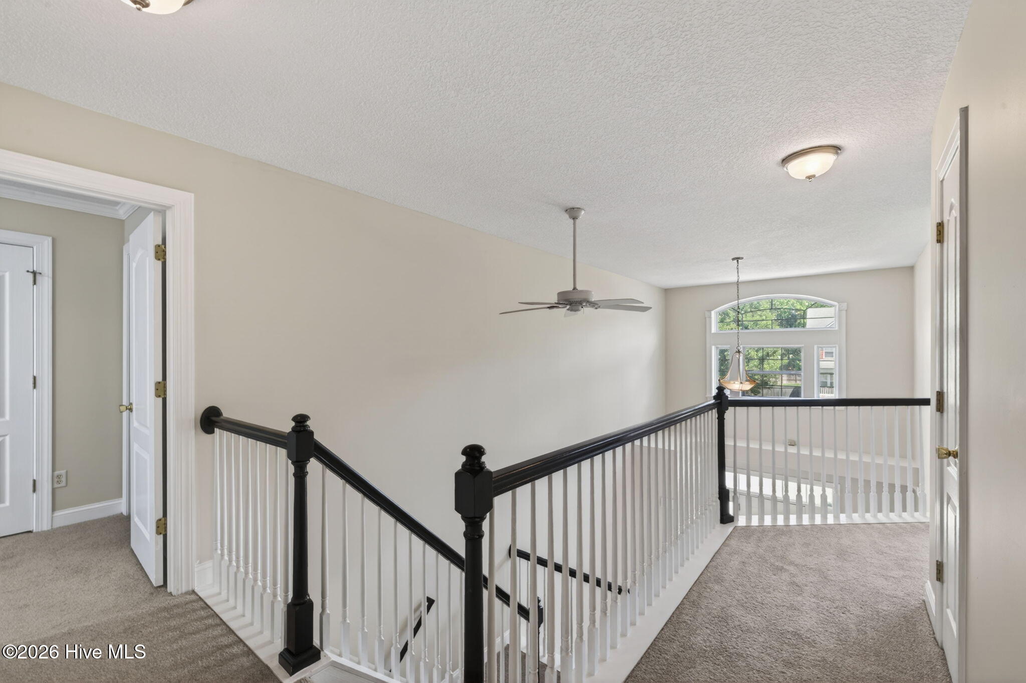 320 Green View Road Moyock, NC 27958 - Photo 32 of 58