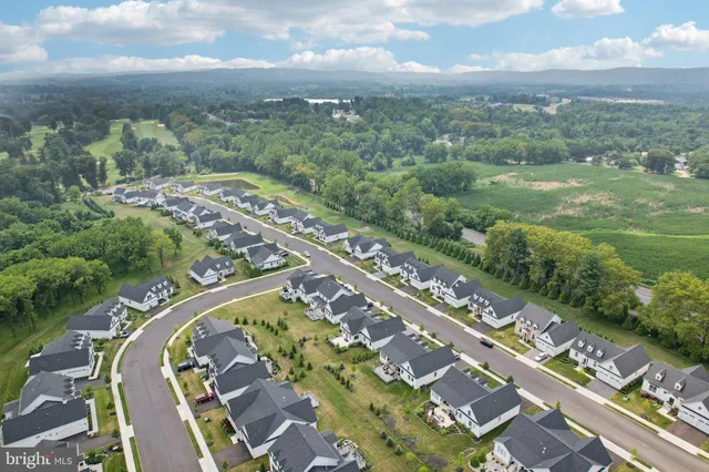 a view of a house with a big yard and a large tree