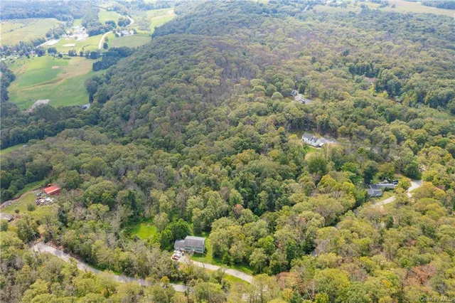 a view of a bunch of trees and bushes