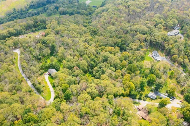 a view of a yard with plants