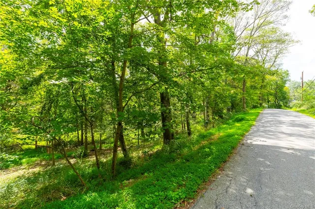 a view of yard with green space