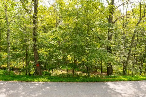 a view of a yard with a trees