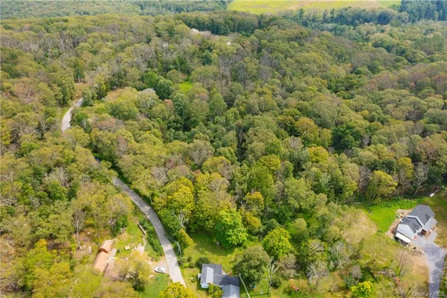 a view of a field with a tree