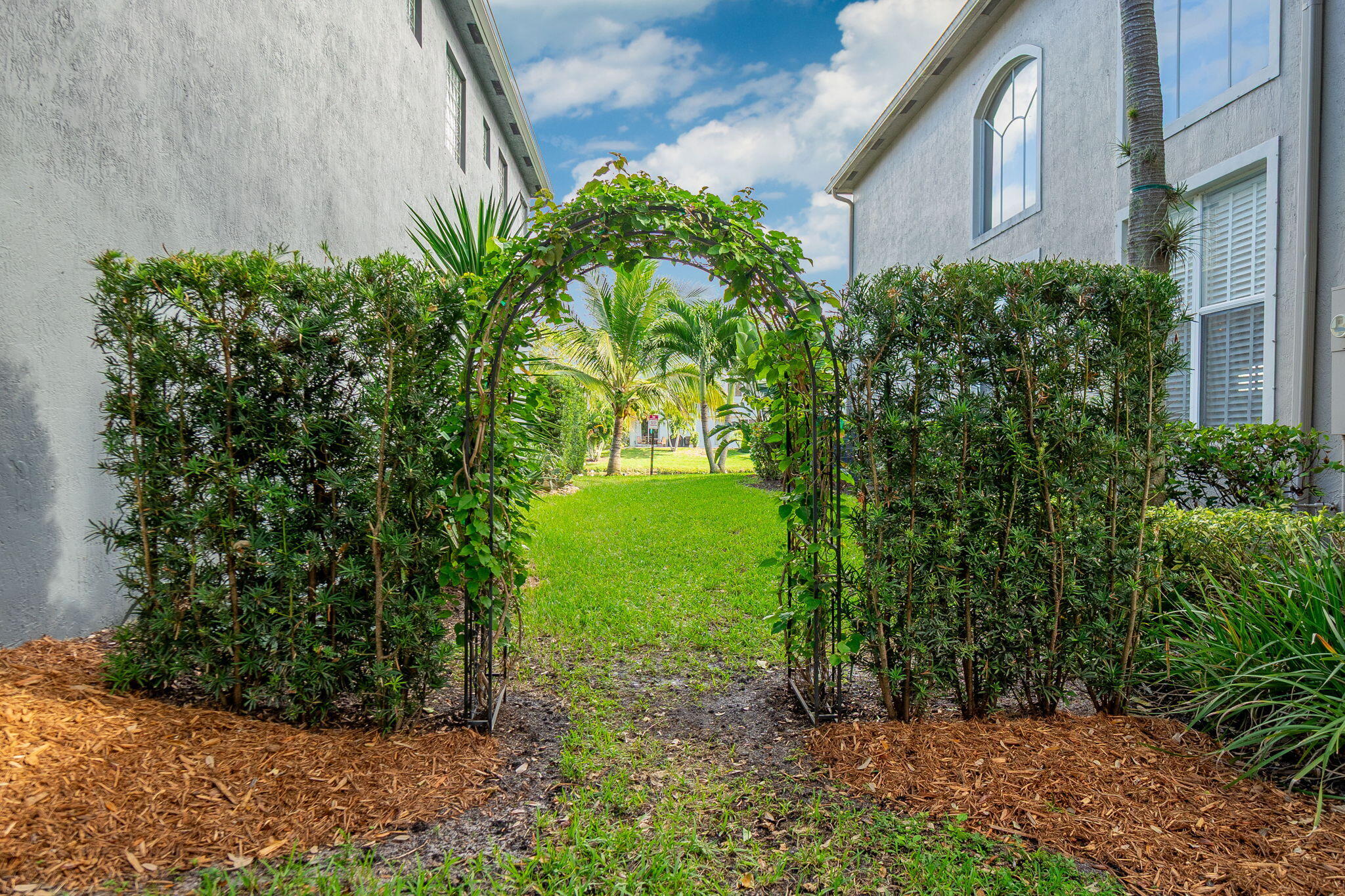 1004 Center Stone Lane Riviera Beach, FL 33404 - Photo 38 of 47 a view of a yard with plants and large trees