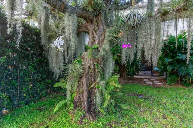 a view of a yard with a house and a garden