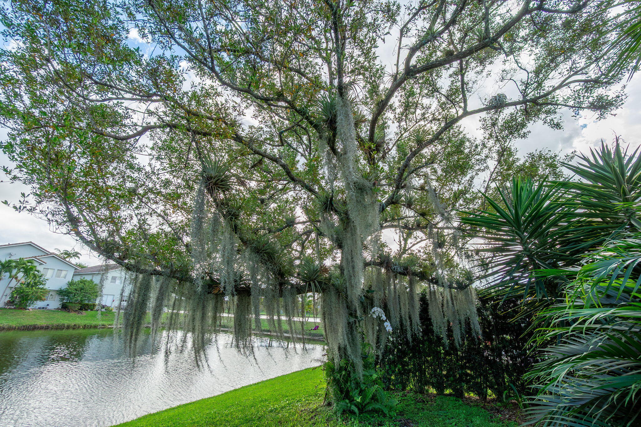 1004 Center Stone Lane Riviera Beach, FL 33404 - Photo 42 of 47 a view of a lake view with a garden