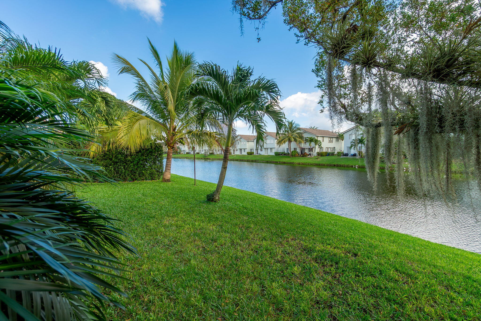 1004 Center Stone Lane Riviera Beach, FL 33404 - Photo 45 of 47 a view of a lake with a palm tree