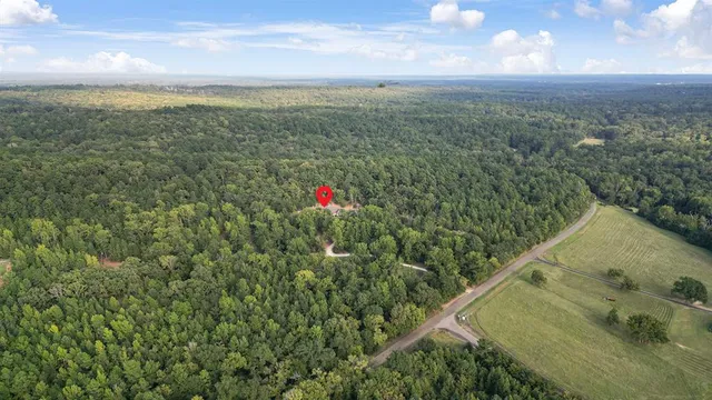 a view of a field with an ocean and trees in the background