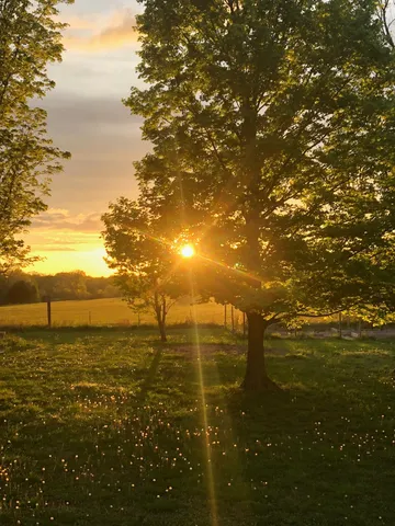 $749,700 | 322 Shun Pike, Cottontown, TN 37048