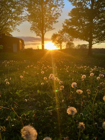 $749,700 | 322 Shun Pike, Cottontown, TN 37048