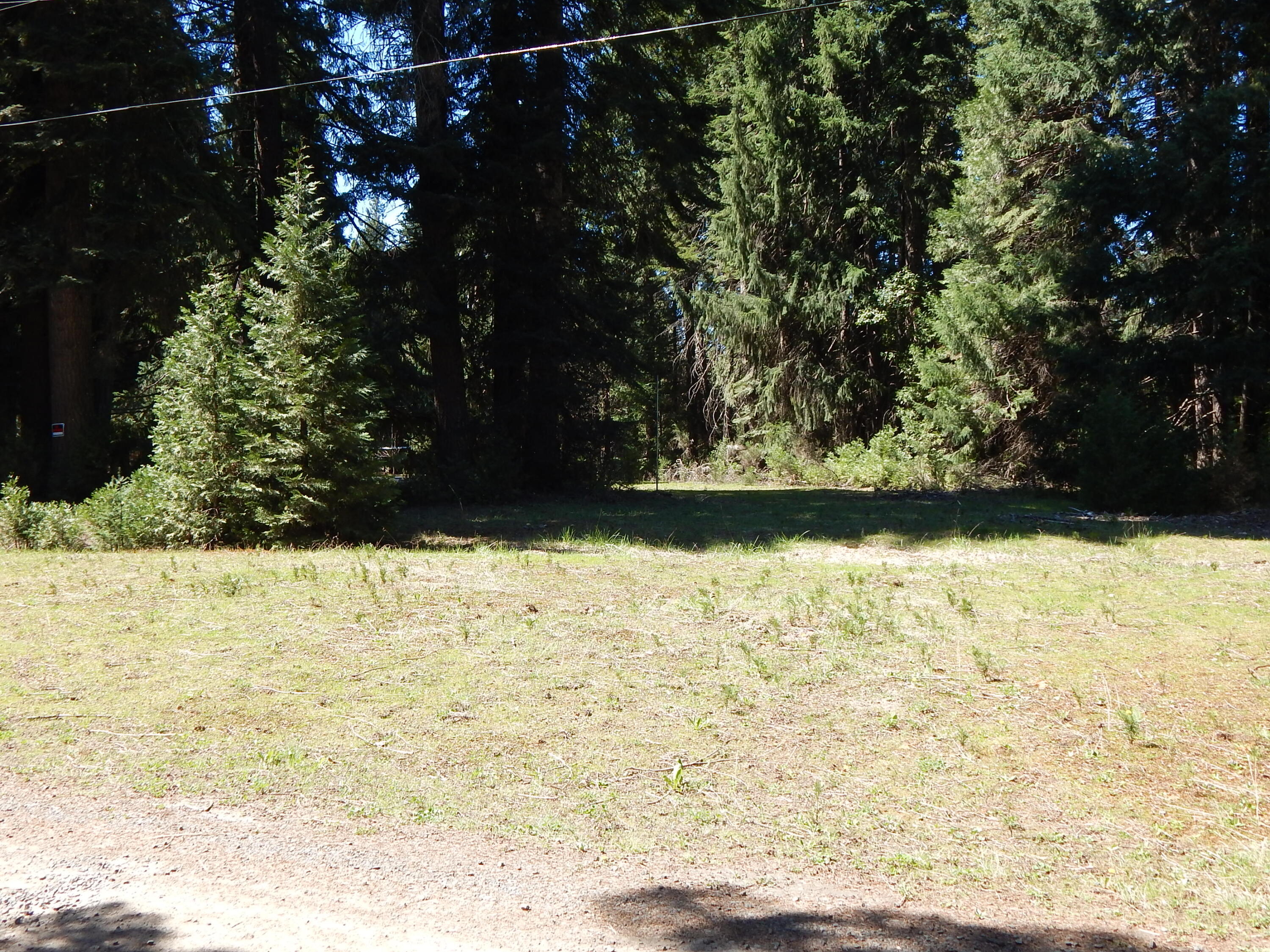 Red Blanket Road Prospect, OR 97536 - Photo 6 of 6 DSCN6056