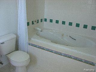 9974 Weber Road Columbus, MI 48063 - Photo 9 of 12 Bathroom