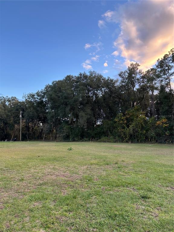 Undetermined Citra, FL 32113 - Photo 2 of 2