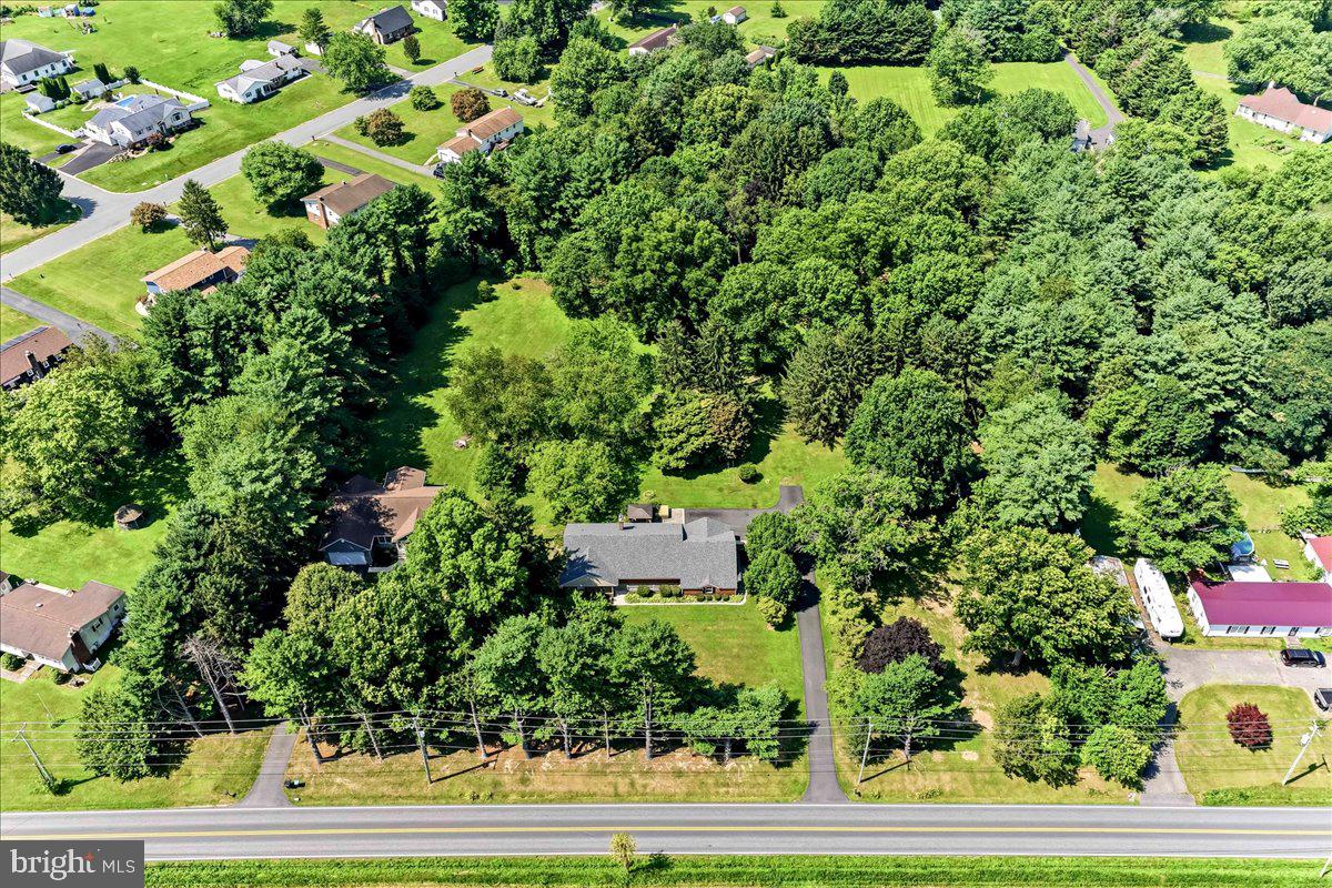 2765 Blue Ball Road Elkton, MD 21921 - Photo 49 of 54 Serene suburban retreat in nature.