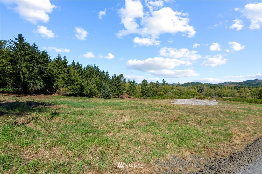1 Elochoman Valley Road Cathlamet, WA 98612 - Photo 3 of 6 Gallery Image 3