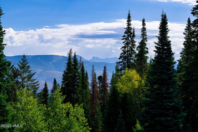 $5,995,000 | 89 Pritchel Place, Edwards, CO 81632