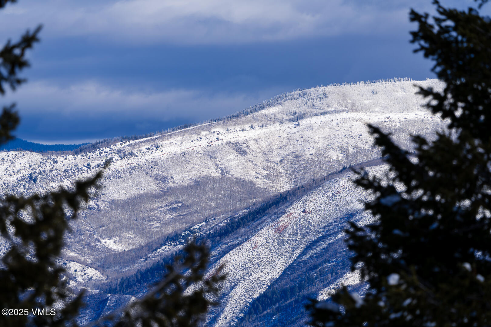 89 Pritchel Place Edwards, CO 81632 - Photo 53 of 69 89_Pritchel_Place_009
