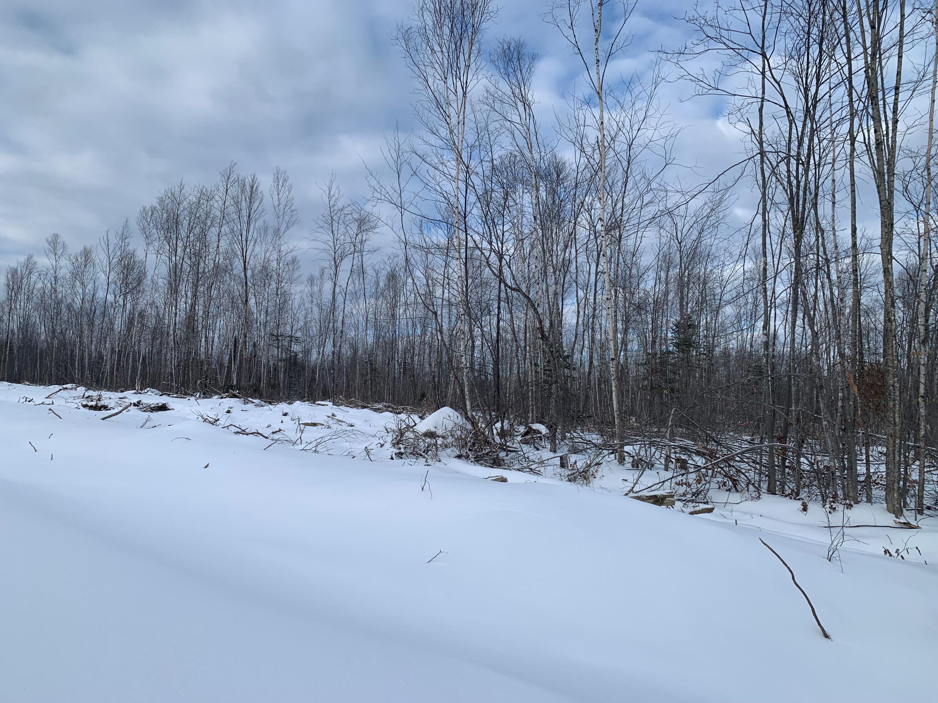 51 Stone Road Mount Chase, ME 04765 - Photo 5 of 5 MLS1