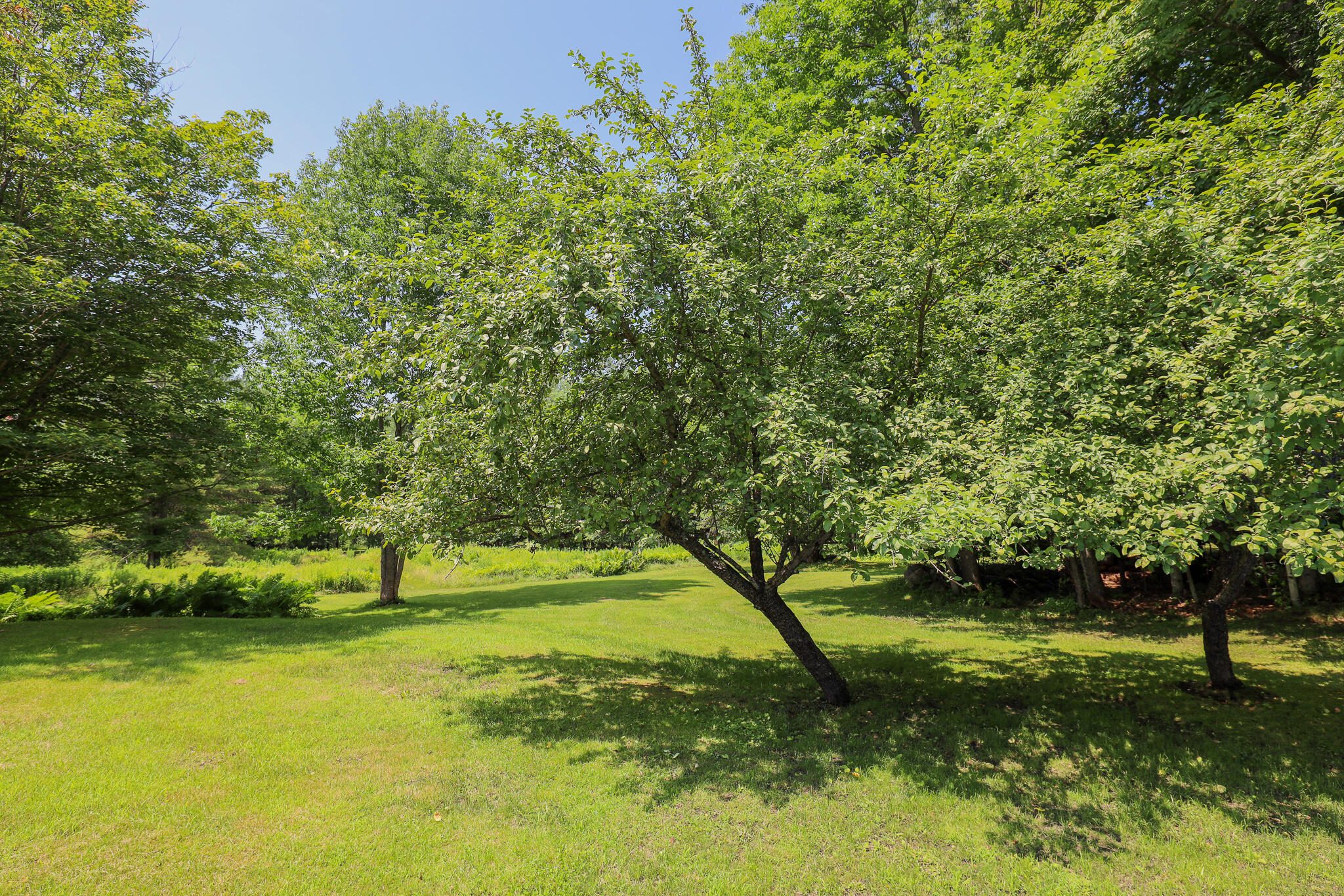 211 Common Road Dixfield, ME 04224 - Photo 62 of 73 447A7393
