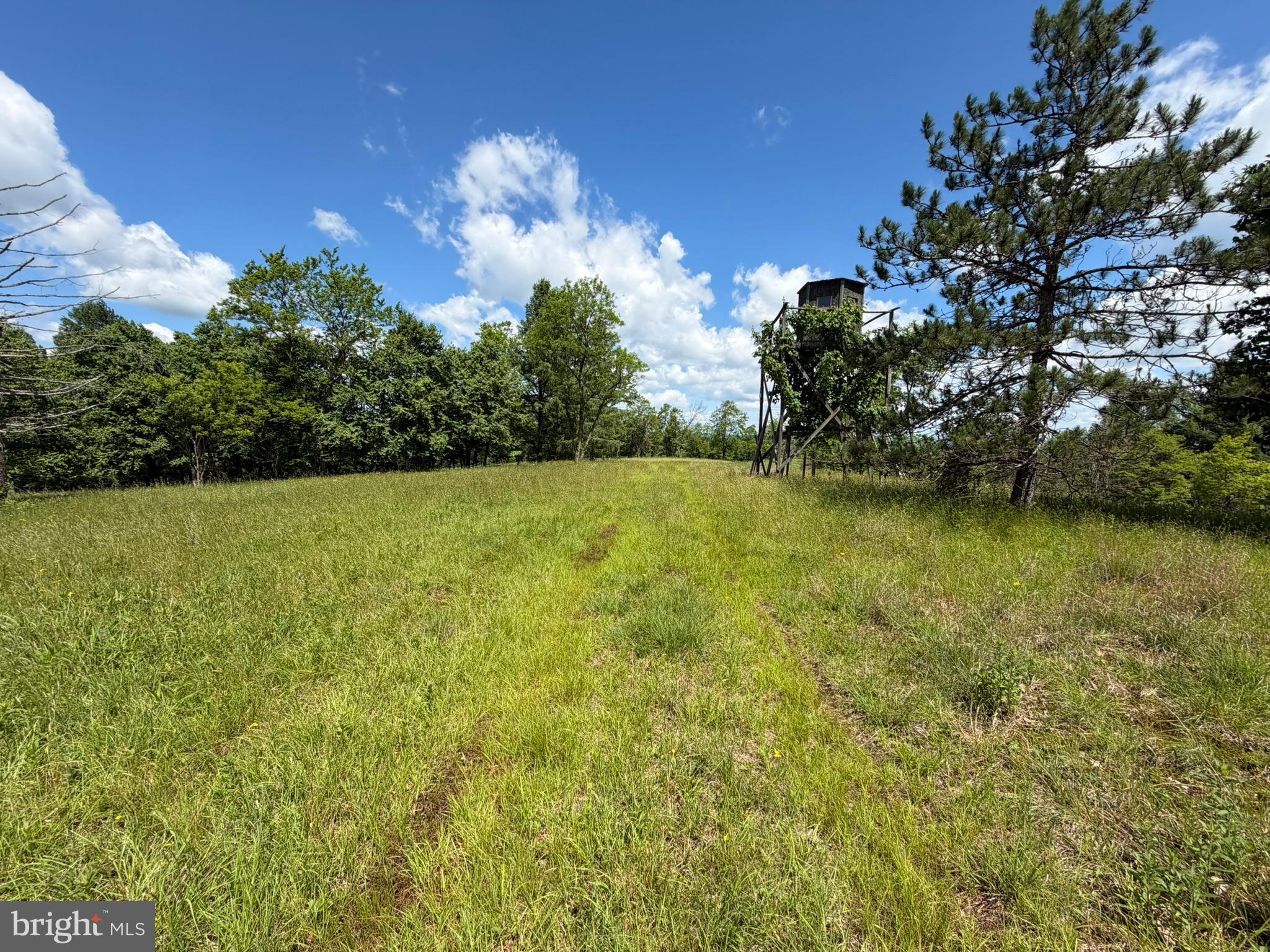 848 Sugar Camp Road Clearfield, PA 16830 - Photo 61 of 118