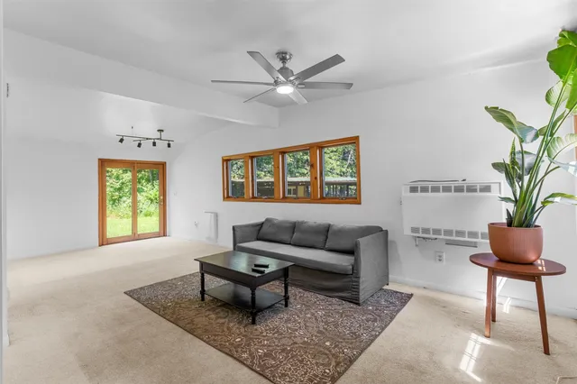 a living room with furniture and a potted plant