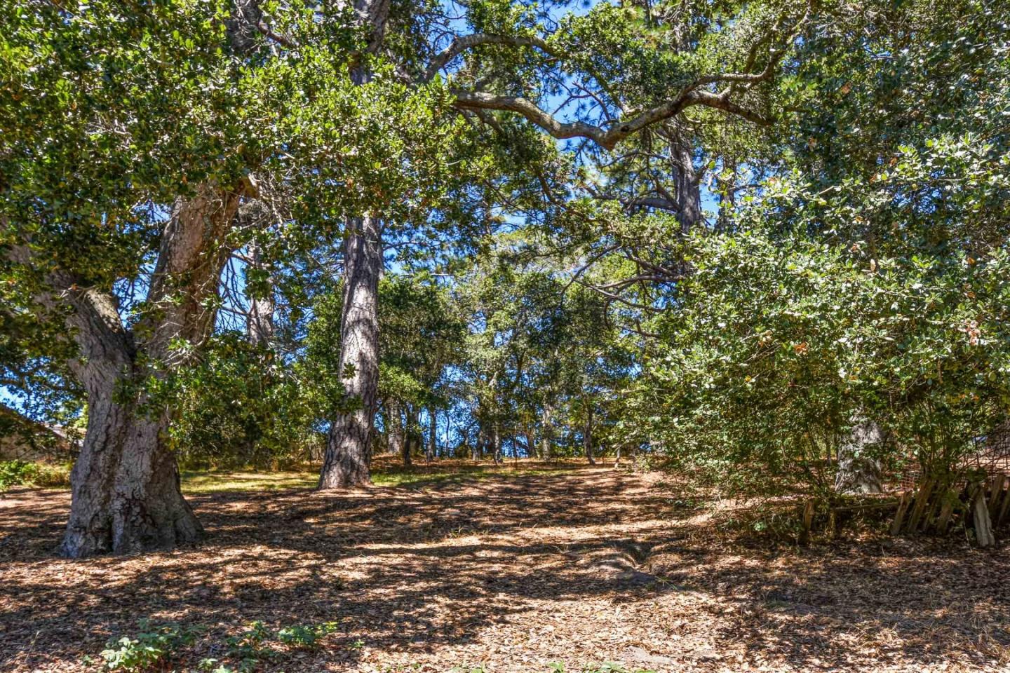 290 Sims Road Santa Cruz, CA 95060 - Photo 18 of 19 Gallery Image 18