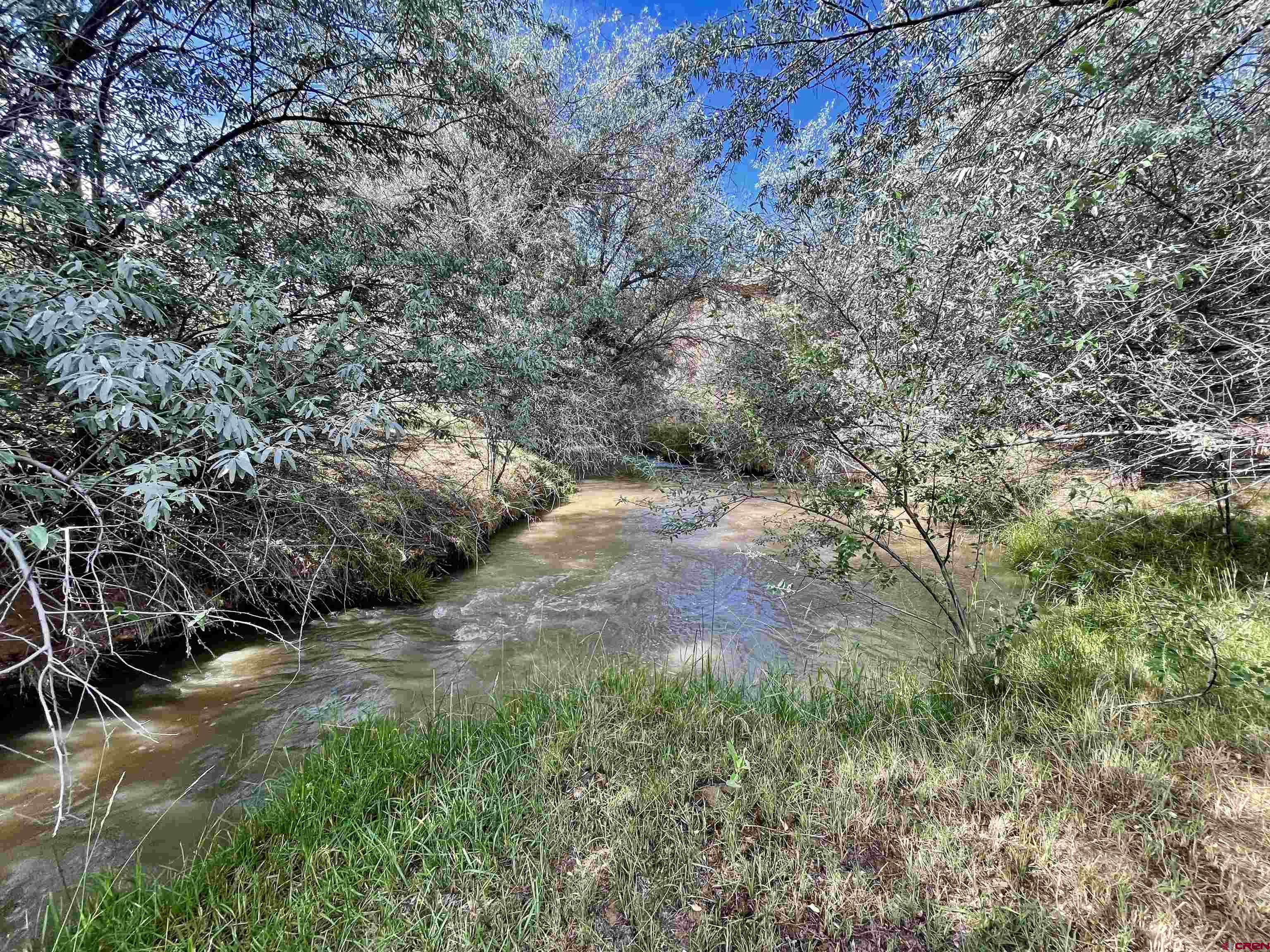 9 North Broadway Cortez, CO 81321 - Photo 11 of 21 a view of a yard with large trees