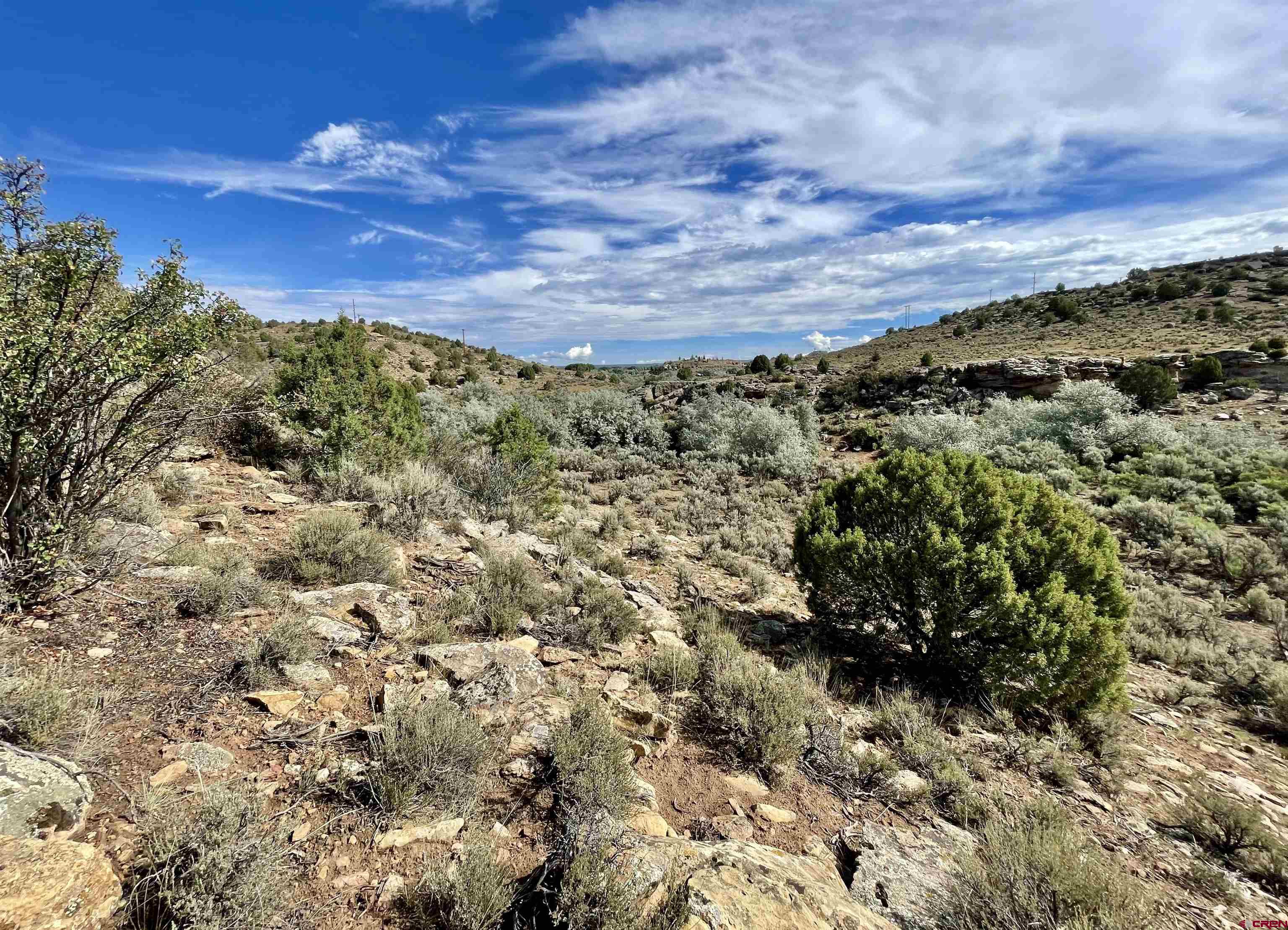 9 North Broadway Cortez, CO 81321 - Photo 12 of 21 a view of a large yard with lots of bushes