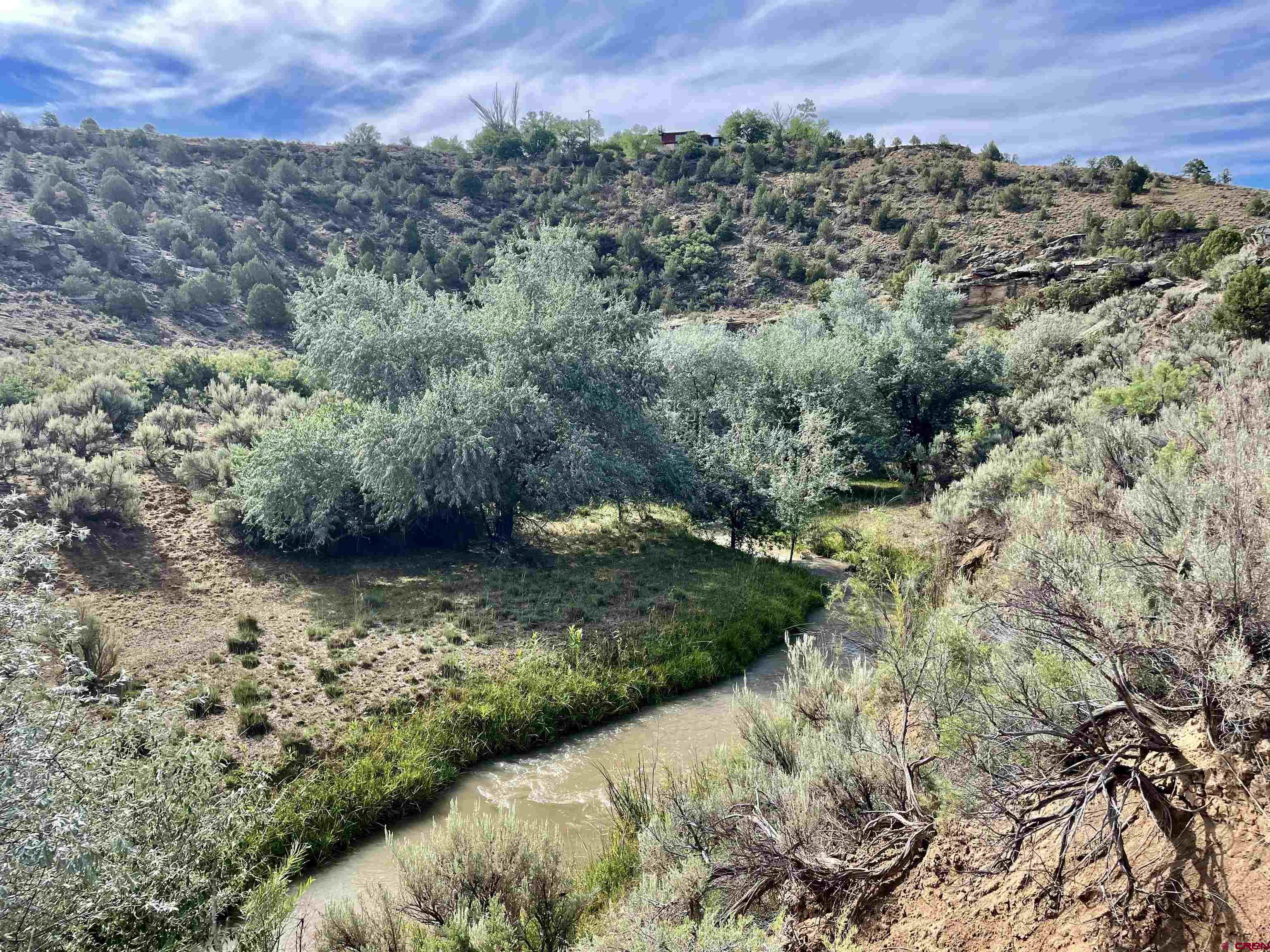 9 North Broadway Cortez, CO 81321 - Photo 16 of 21 a view of a green field with lots of bushes