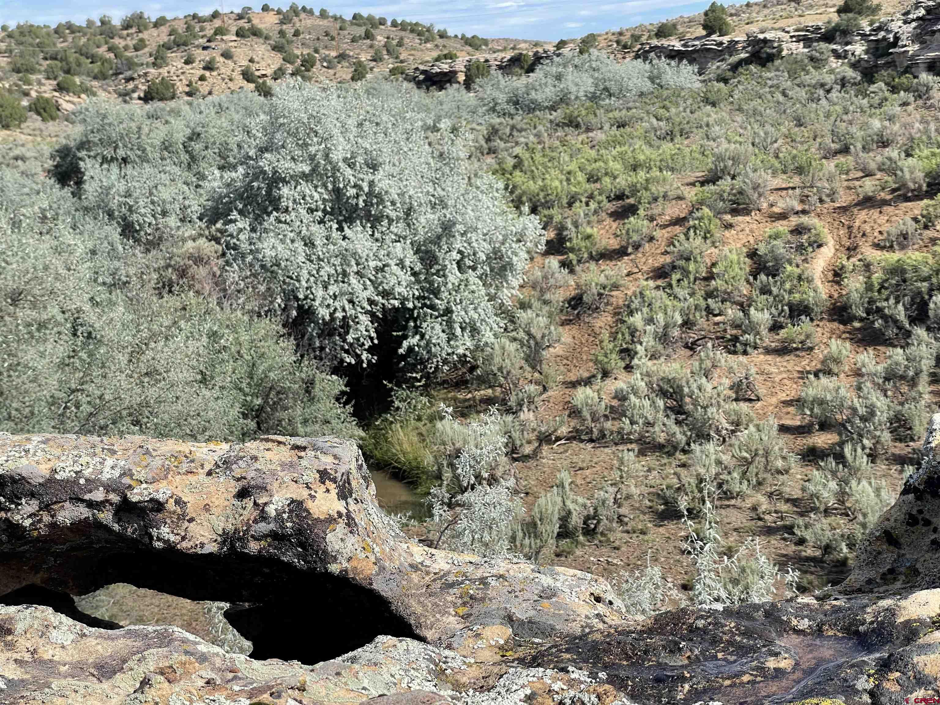 9 North Broadway Cortez, CO 81321 - Photo 18 of 21 a view of a wooden house with a yard