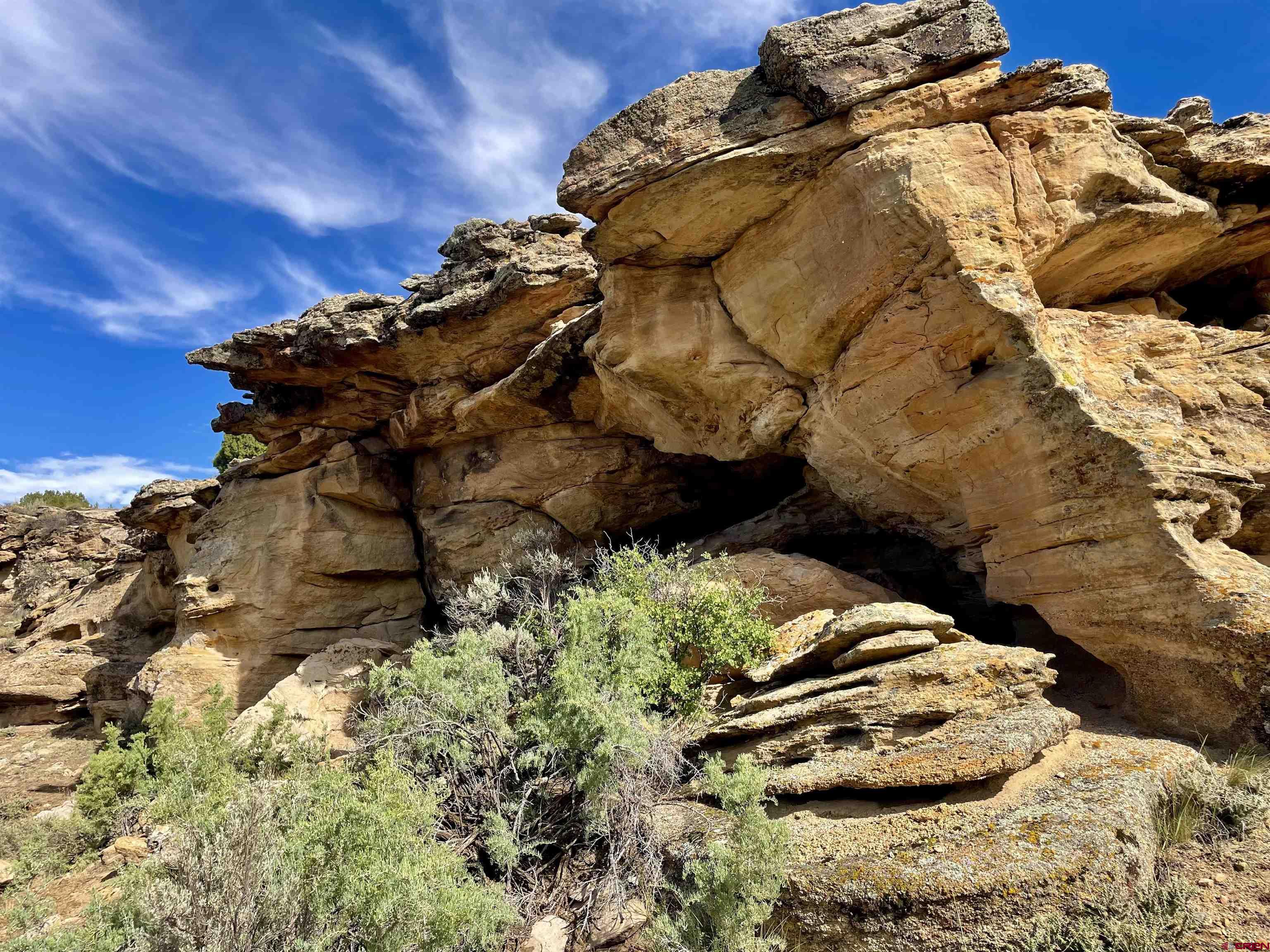 9 North Broadway Cortez, CO 81321 - Photo 4 of 21 a view of a backyard