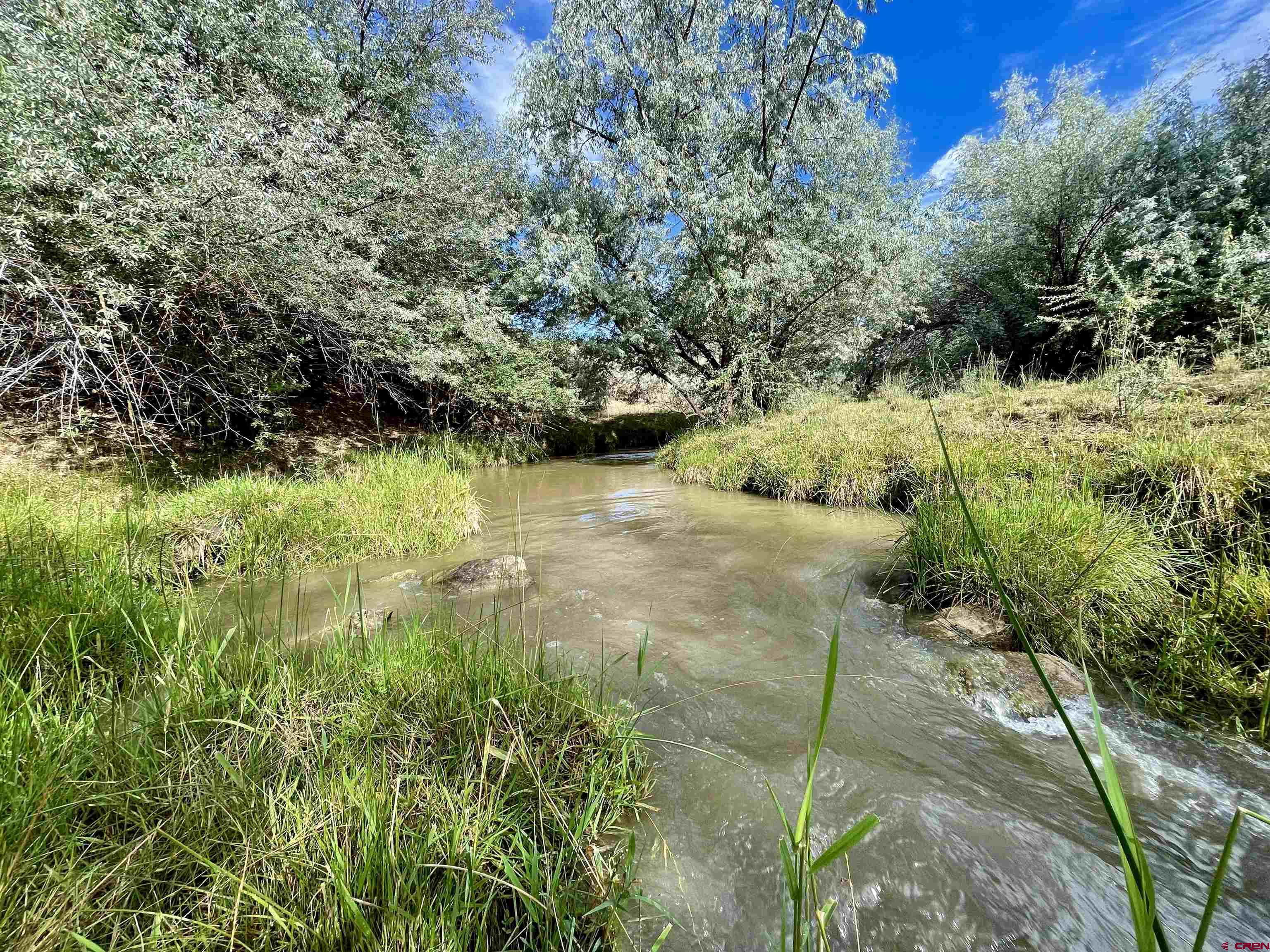 9 North Broadway Cortez, CO 81321 - Photo 6 of 21