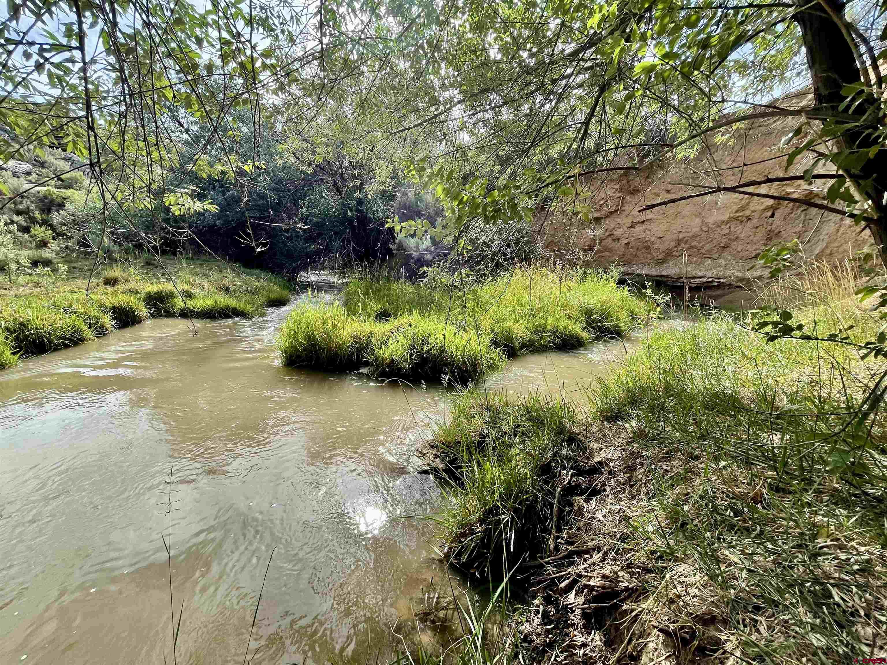 9 North Broadway Cortez, CO 81321 - Photo 8 of 21 a backyard of a house with a garden and plants