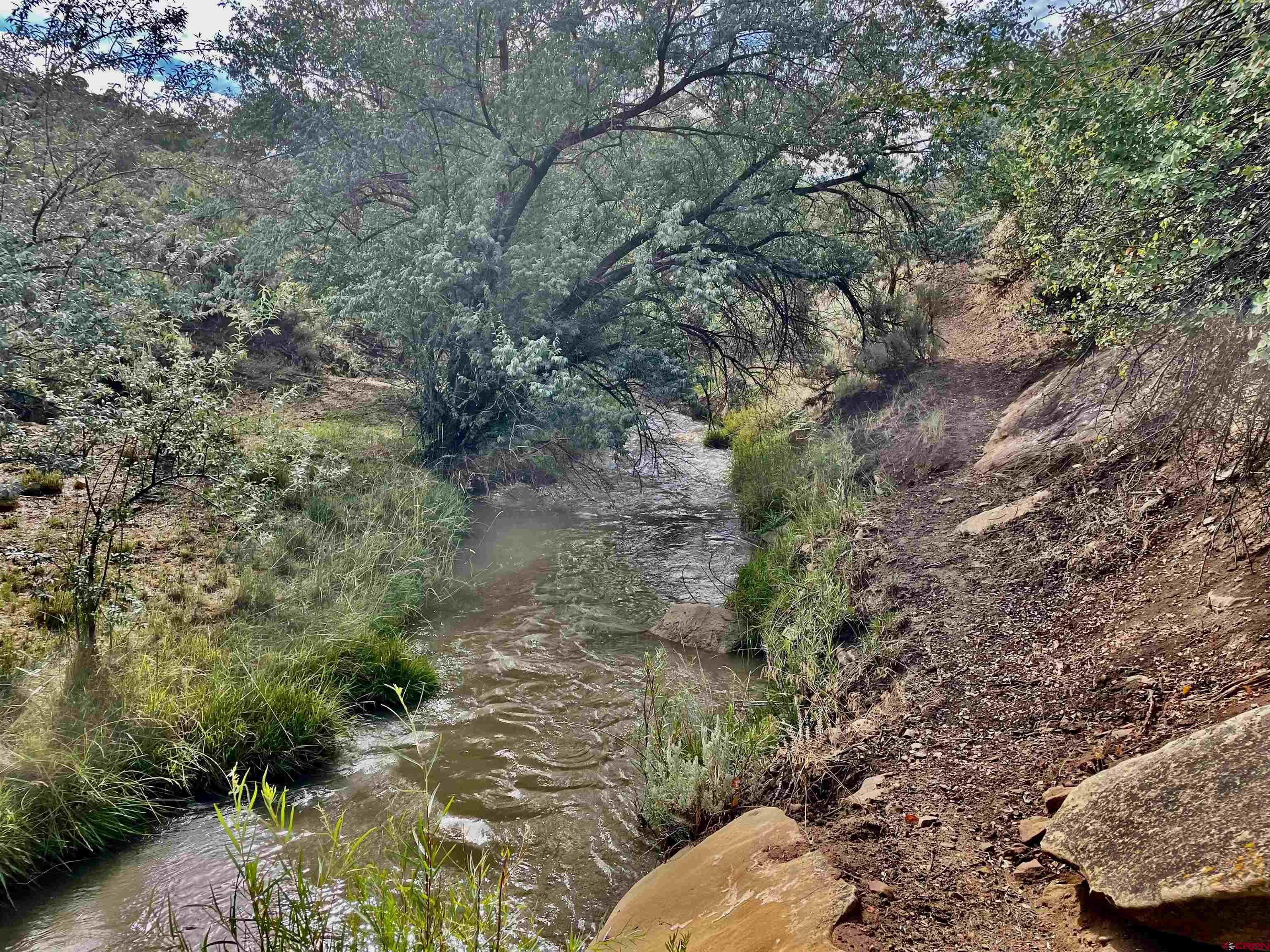 9 North Broadway Cortez, CO 81321 - Photo 10 of 21 a view of a tree with lots of bushes
