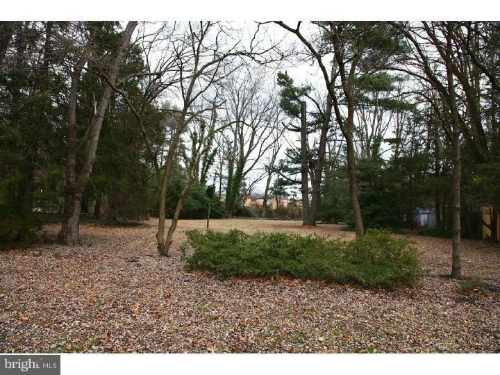 1221 Caldwell Road Cherry Hill, NJ 08034 - Photo 22 of 24 Back Yard