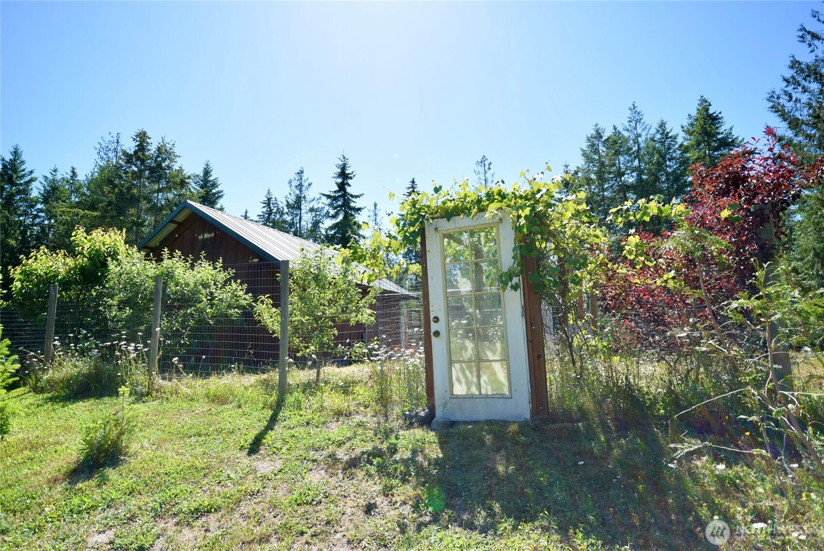 561 Country Acres Lane Sequim, WA 98382 - Photo 28 of 34
