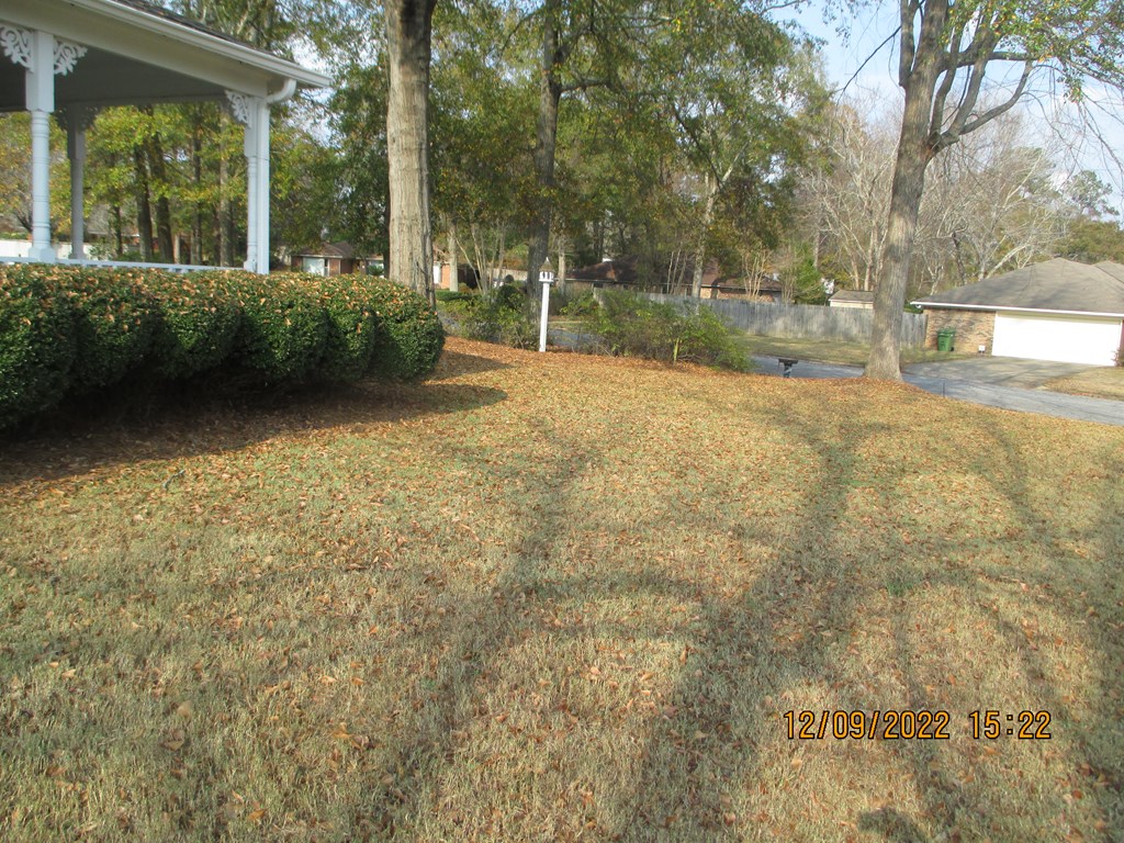 7201 West Wynfield Loop Midland, GA 31820 - Photo 33 of 34 a backyard of a house with lots of green space