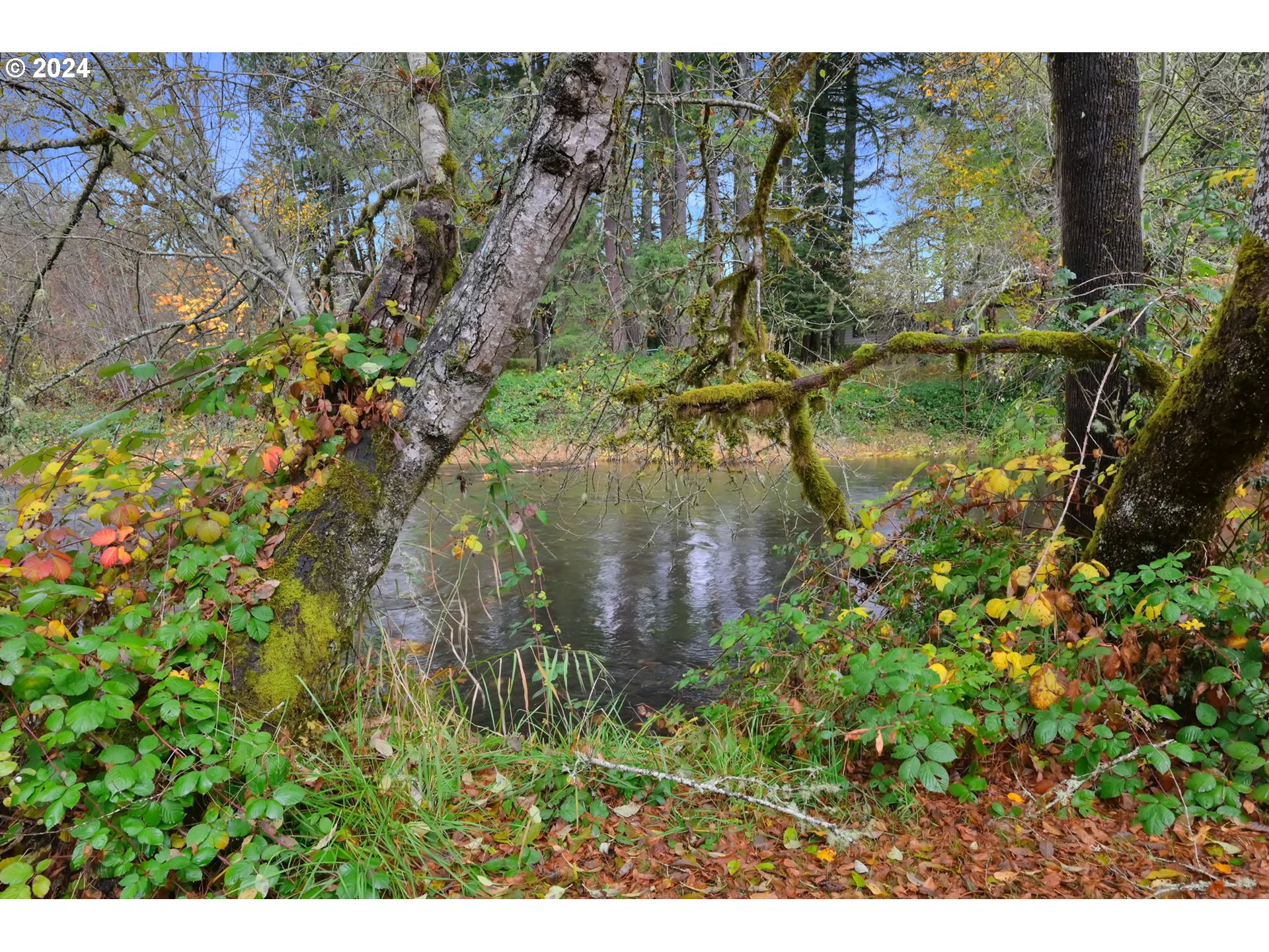 92932 Paschelke Road Marcola, OR 97454 - Photo 43 of 47 Gallery Image 43